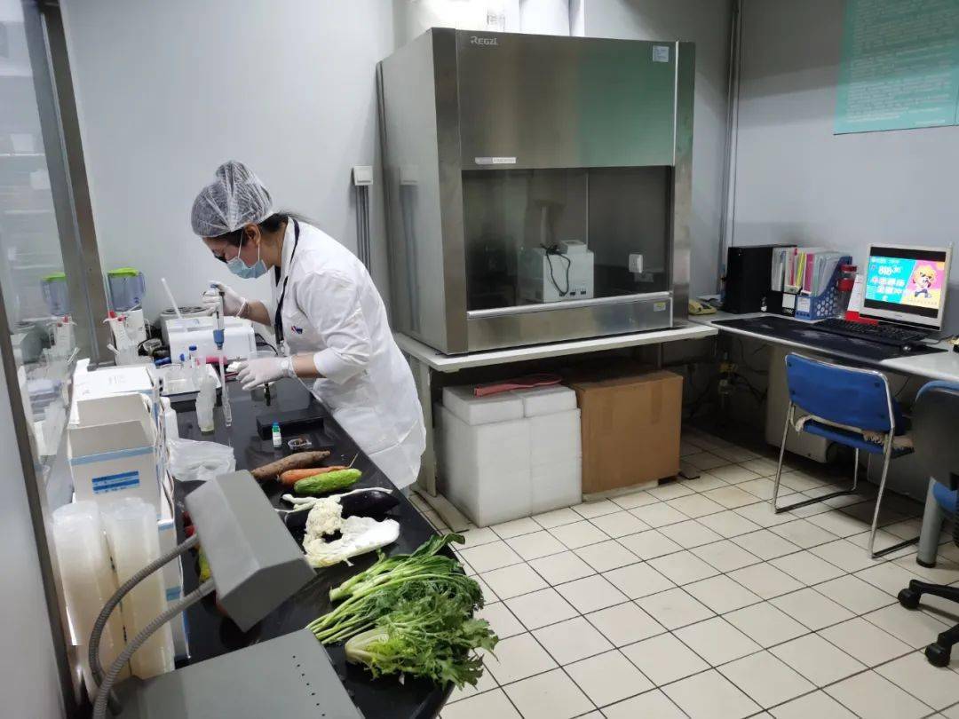 武隆食品检测实验室装修方案